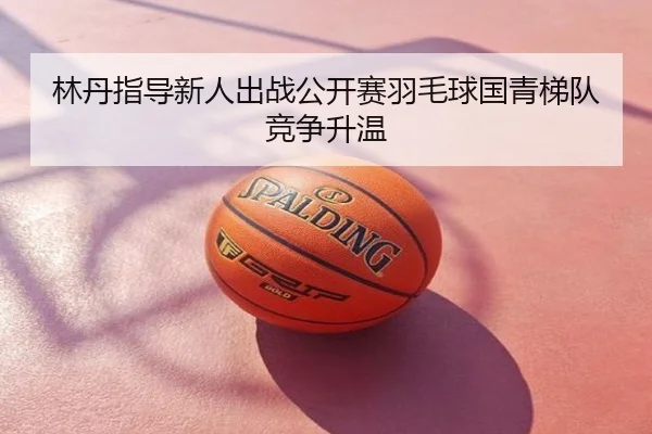 林丹指导新人出战公开赛羽毛球国青梯队竞争升温